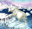 Polar Bear Leaving Water