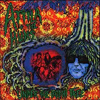 Attila and the Huns - Cover