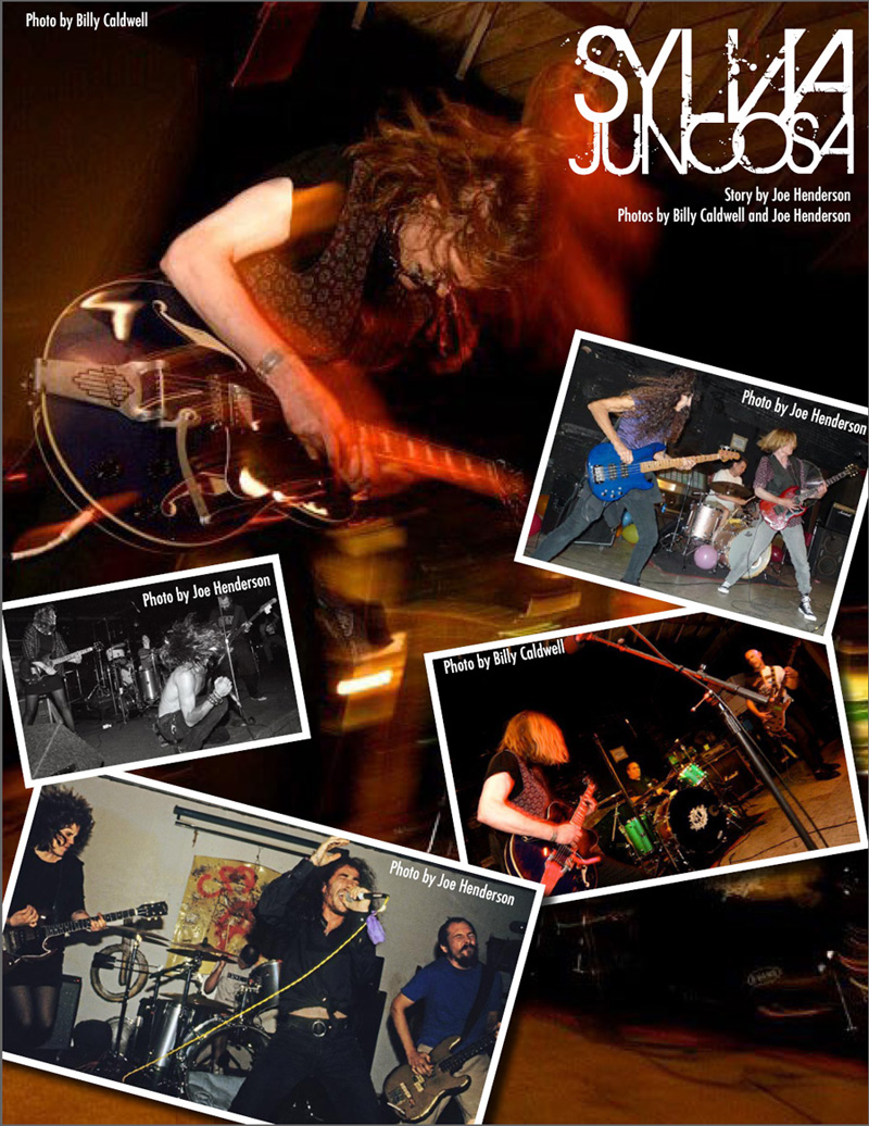 Flipside 2010 - Article