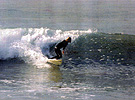 Syl Surfing