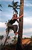 Sylvia is a monkey on a tree in Goa, India
